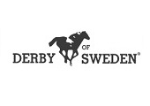 DERBYSWEDEN-s120