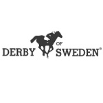derbyofsweden1